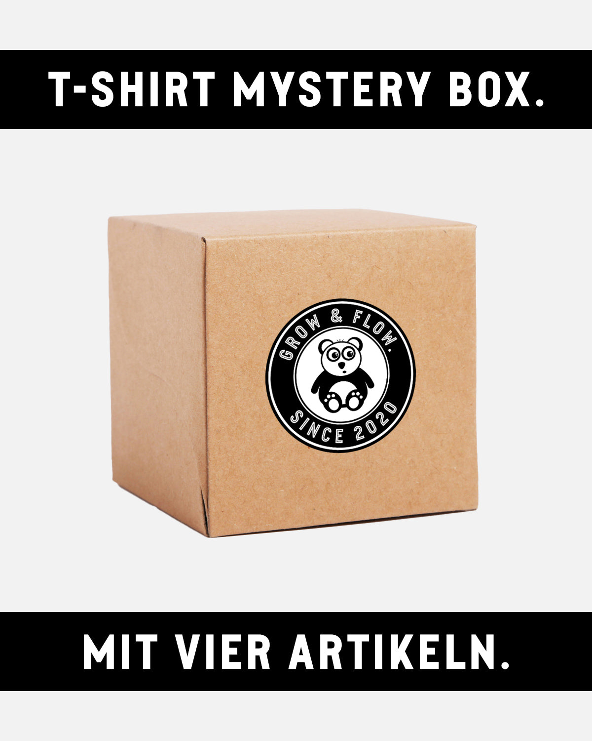 Panda T-Shirt Mystery Box (4 Artikel)